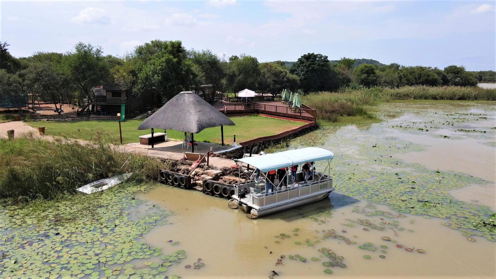African safari landscape with wildlife